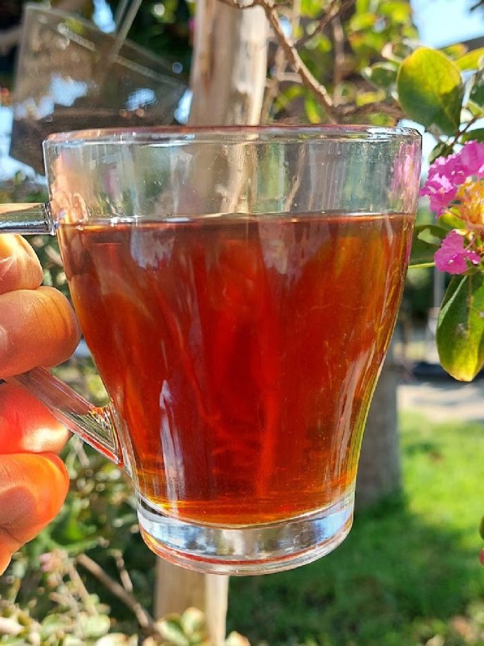 Tè nero "Caramello Mediterraneo" - immagine 4