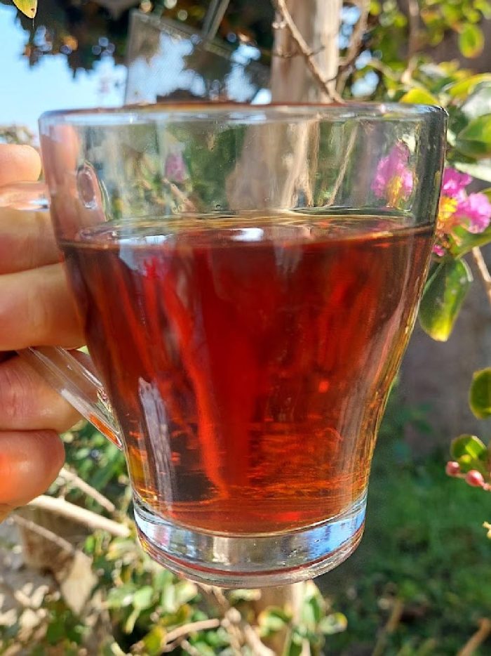 Rooibos aromatizzato rum e cacao "Sere d'Amore" - immagine 4