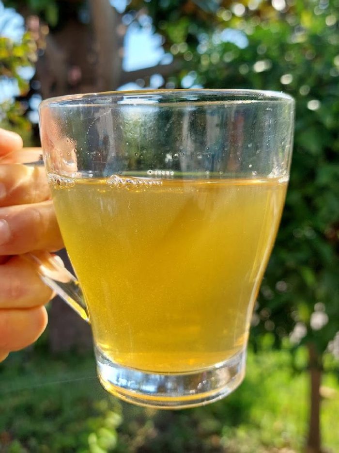 Tè verde Sencha "Dolce Sole" - immagine 4